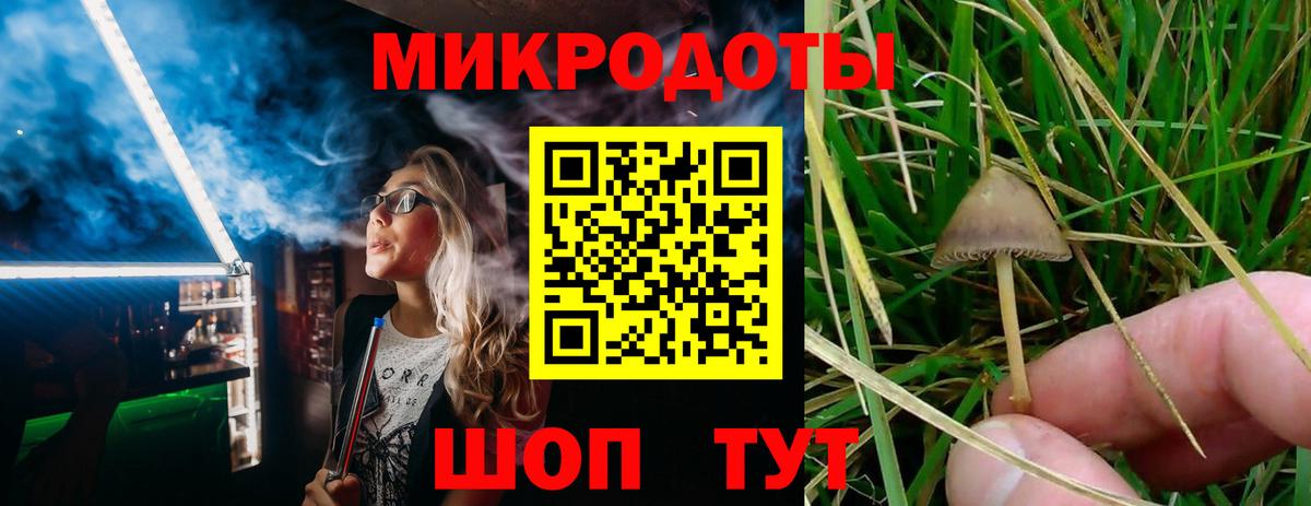 Галлюциногенные грибы Cubensis  Вход с VPN  Псилоцибиновые грибы Psilocybine cubensis  Грязи 